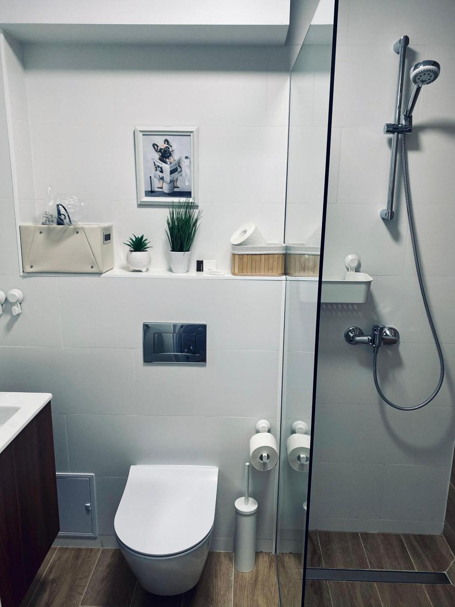 Central Luxury Apartment Iasi Buitenkant foto